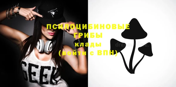 МДМА Лагань