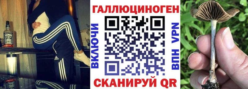 Псилоцибиновые грибы Psilocybe  Микунь 